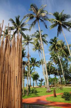 Medee Resort