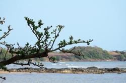 Plub Pla Koh Mak Retreat