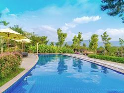 Limoncello Lazy Valley Khao Yai