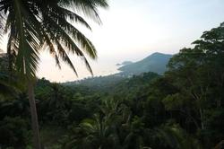 Greenery Resort