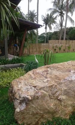Lanta Infinity Resort