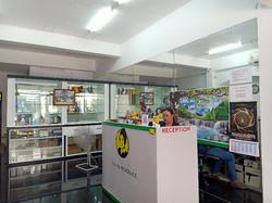 Sonya Residence