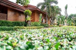 P N Gold Resort