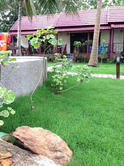 Noble House Beach Resort