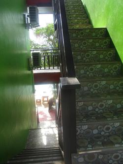 Phi Phi Green House