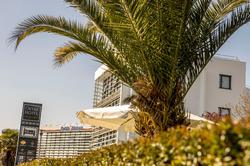 Ostal Hotel Pau Universite