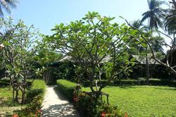 New Ozone Resort And Spa