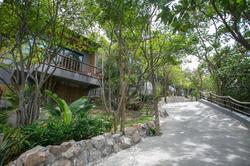 Sai Daeng Resort Koh Tao