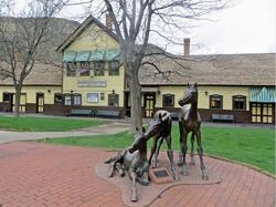 Holiday Inn Express Durango DTWN-Animas River