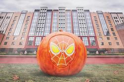 Disney's Hotel New York