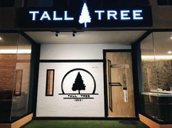 Tall Tree Kata Phuket