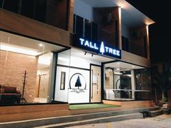 Tall Tree Kata Phuket