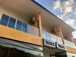 Tall Tree Kata Phuket