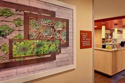 Towneplace Suites By Marriott Albany Downtown/Medi