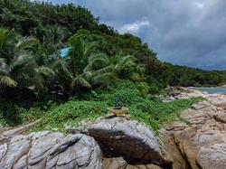 Tongta Phaview Resort