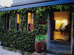 The Umbrella House