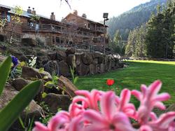 Callahan S Mountain Lodge