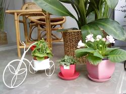 Sabai House