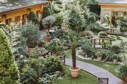 Garden Boutique Hotel Berlin-Mitte