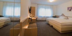 Hotel Am Wasen