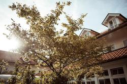 Limmerhof