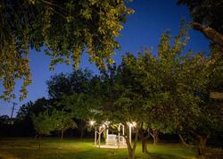 Red Horse Vineyard Bed & Breakfast