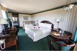 Emerald Dolphin Inn