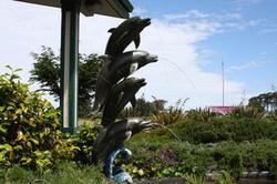 Emerald Dolphin Inn