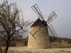 La Marsanne