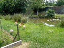Le Tertre
