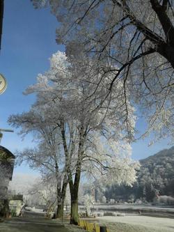 Hotel Weserstuben