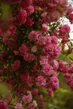 Château de la Bûcherie