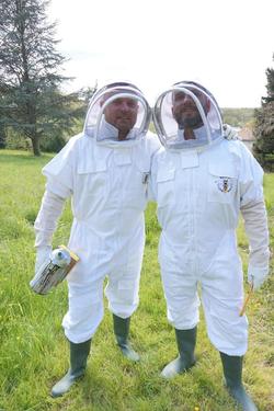 13 Bees