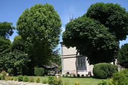 Villa Primerose