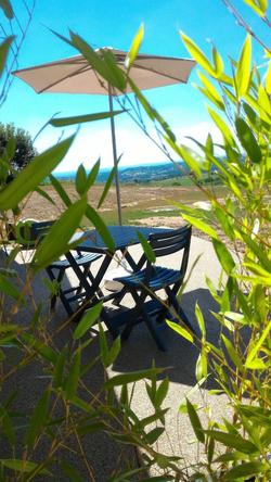 La Sarlamandre
