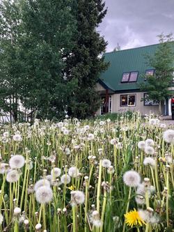 Nordic Inn