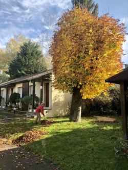 Hotel Les Tilleuls