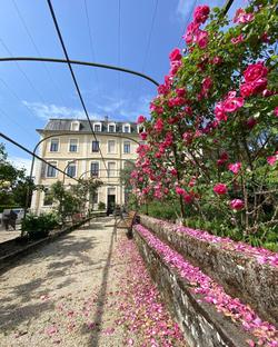 Hôtel des Eaux