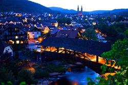 Das Waldhaus