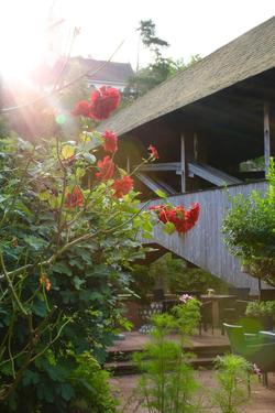 Das Waldhaus