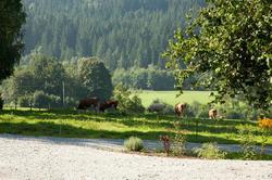 Landhotel Bayerwald