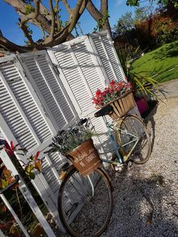A l'Orée du Pin Chambres d'Hôtes
