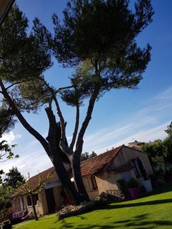 A l'Orée du Pin Chambres d'Hôtes
