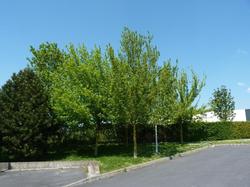 B&B HOTEL Chalons En Champagne