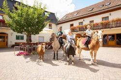 Landgasthof Fischer