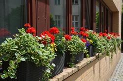 Hotel Aquino Berlin