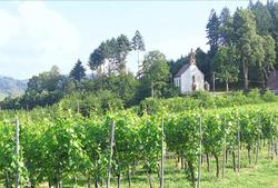 Gasthof Rose