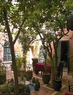 Riad Sidi Omar