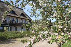Kur- und Landhotel Borstel-Treff