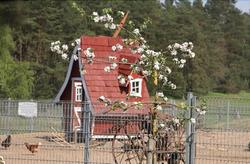 Kur- und Landhotel Borstel-Treff
